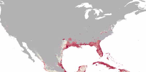 New Map Finds 2 Billion People At Risk of Zika Virus