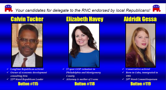 Image: A mailer showing candidates for delegates to the the RNC
