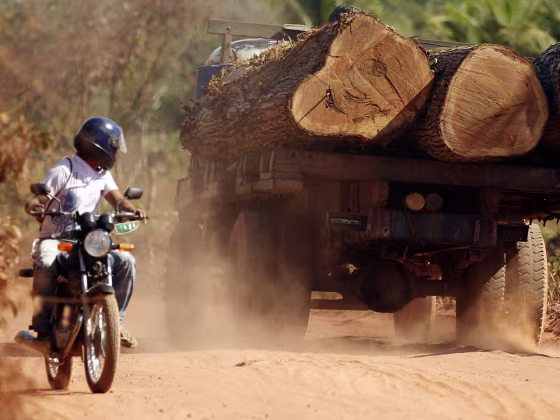 IMAGE: Illegal Brazilian logging