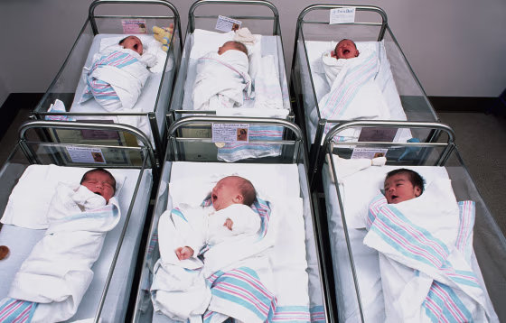 Babies in a hospital nursery