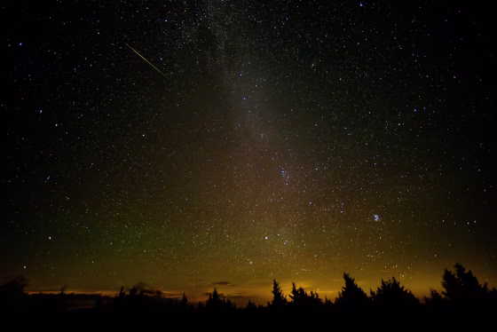 Image: Perseid Meteor Shower