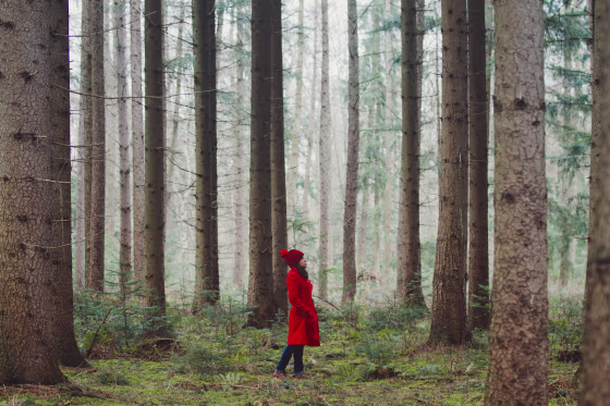 Image: Woman Walking Along Wooded Road