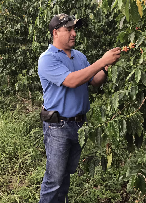 Image: Andres Magana Ortiz