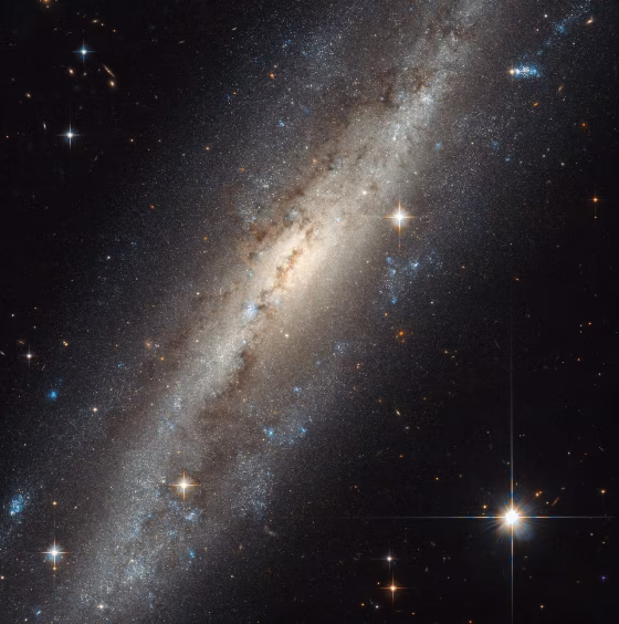 Is there anybody out there?