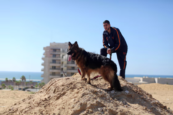 Dog show in Gaza City