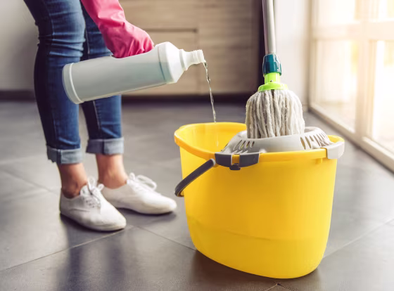 Image: Cleaning Lady