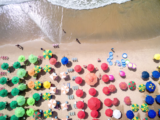 Image: Top View of Umbrellas in a Beach