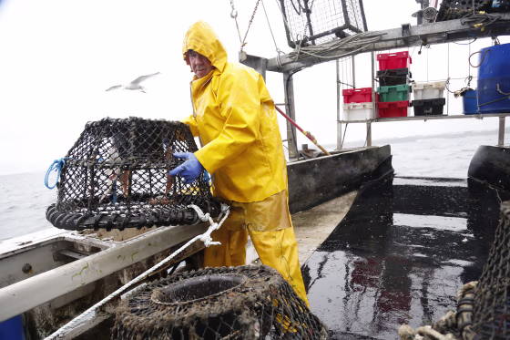 Image: Brexit Fisheries