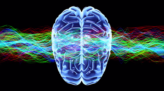 Image: Human brain and waves