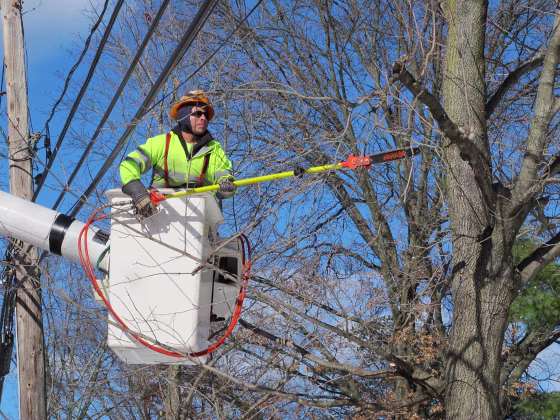 Image: Asplundh Tree Service