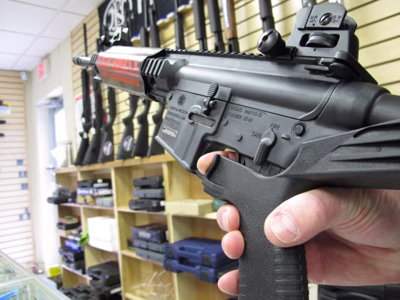 Image: Semiautomatic rifle