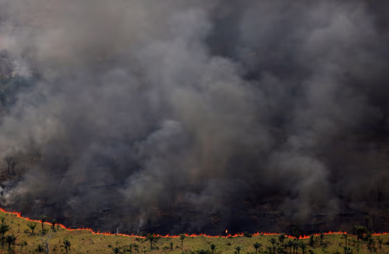 Image: A forest burns during an operation to combat illegal logging in Apui, Brazil