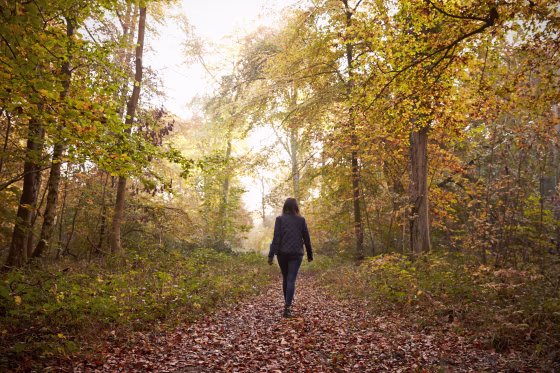 Woman Walking Along Path In Autumn Woodland