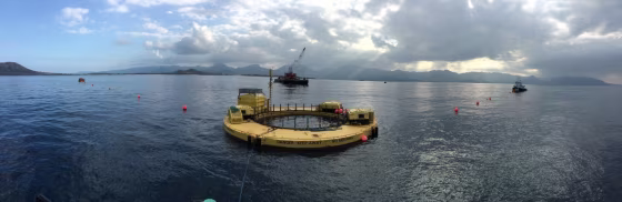 NAVFAC EXWC oversees deployment of Wave Energy Conversion device