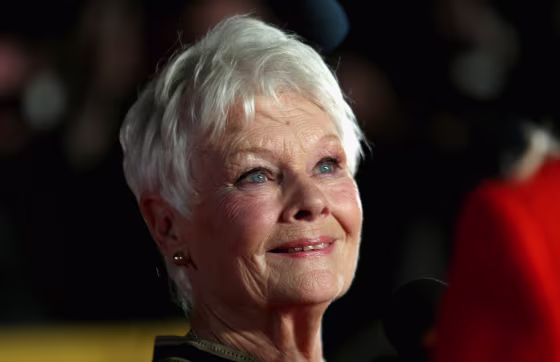 Image: Judi Dench attends a screening in London