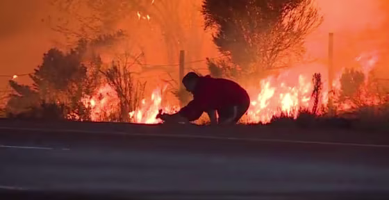Image: A man pulled over on Highway 1 near La Conchita, California, to rescue a wild rabbit from the flames of the Thomas Fire.