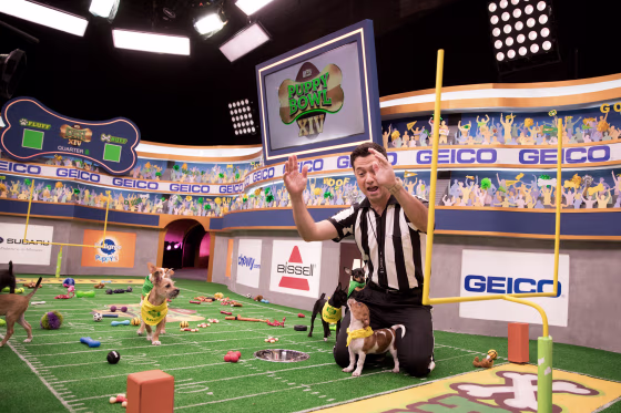 Image: Referee Dan Schachner takes the field during Puppy Bowl XIV.