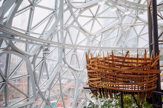 Image: A meeting space shaped like a bird's nest is perched high inside Amazon's Spheres in Seattle