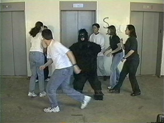 In a famous 1999 video experiment, viewers focused on counting basketballs failed to notice a woman in a gorilla suit that walked into the scene.