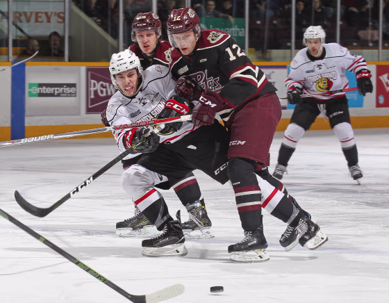 Owen Sound Attack v Peterborough Petes