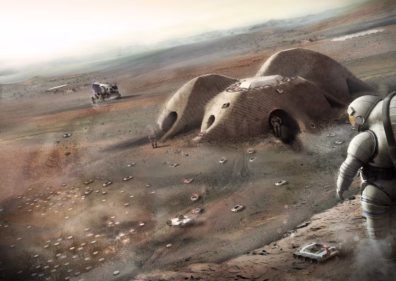 Image: MACH Habitat