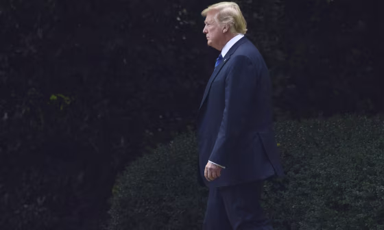 Image: Donald Trump