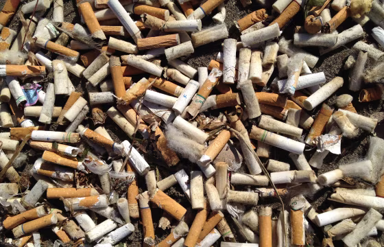 Image: Cigarette butts ocean cleanup