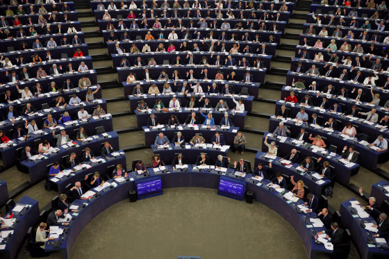 Image: MEPs take part in a voting session at the European Parliament in Strasbourg