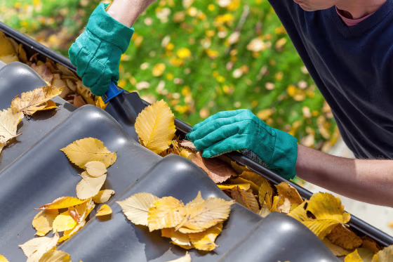 Image: Man cleaning the gutter
