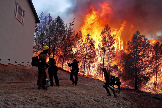 Image: U.S. Forest Service firefighters monitor a back fire while battling to save homes at the Camp Fire in Paradise