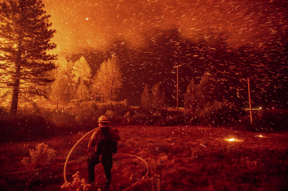 Image: Embers fly above a firefighter as he works to control a backfire as the Delta Fire burns in the Shasta-Trinity National Forest