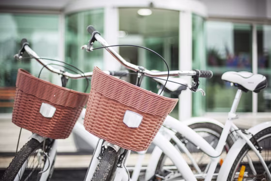 Bicycles with baskets