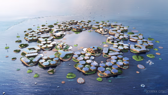 In calm, sheltered waters near coastal megacities, Oceanix City could be an adaptable and sustainable solution for human life on the ocean.