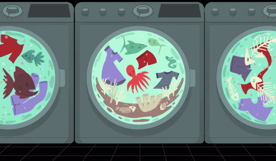 Illustration of front loading washing machines with clothes and dead fish swirling inside.