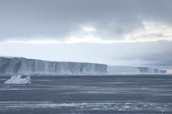Image: Ross Ice Shelf