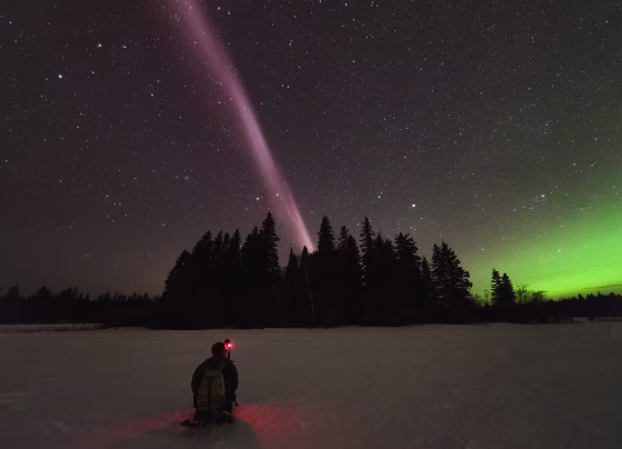 Alberta Aurora Chasers capture STEVE, the new-to-science upper atmospheric phenomenon