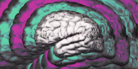 Image: IQ rates are dropping and we're too stupid to figure out why.