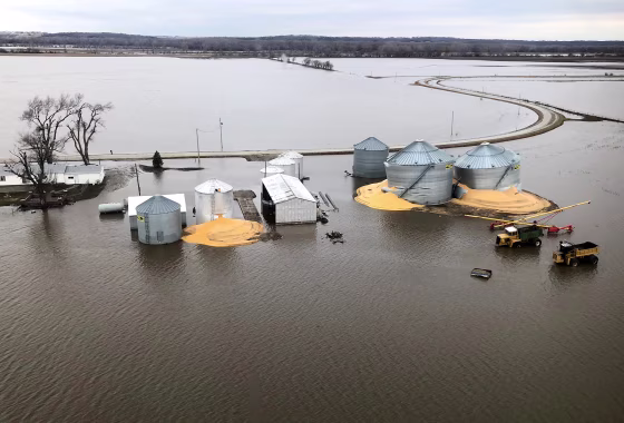 Image: FILE PHOTO: The contents of grain silos which burst from flood damage are shown in Fremont County, Iowa