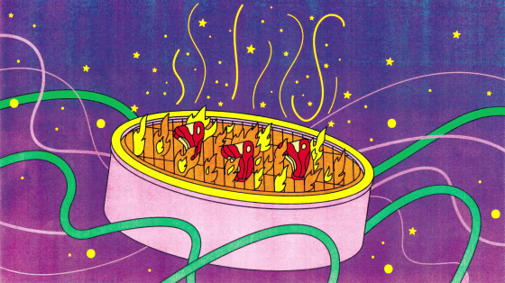 Illustration of steaks cooking on a fire pit.