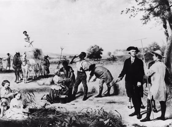 Image: Farmer Washington