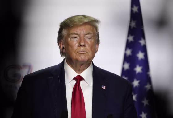 Image: Donald Trump