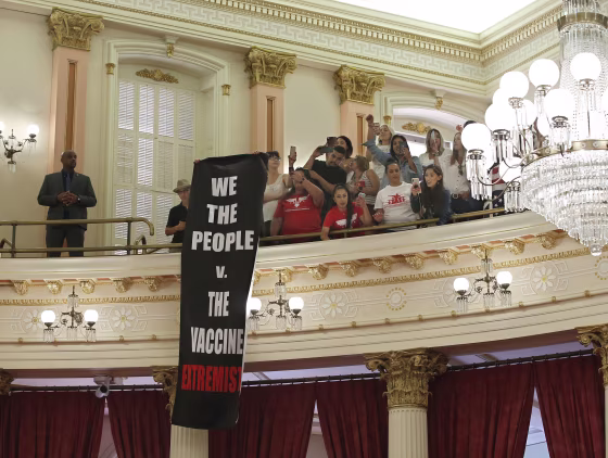 Image: anti-vaxxer protest