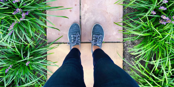 Allbirds