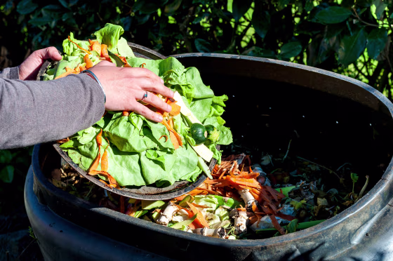 Image: composting kitchen waste