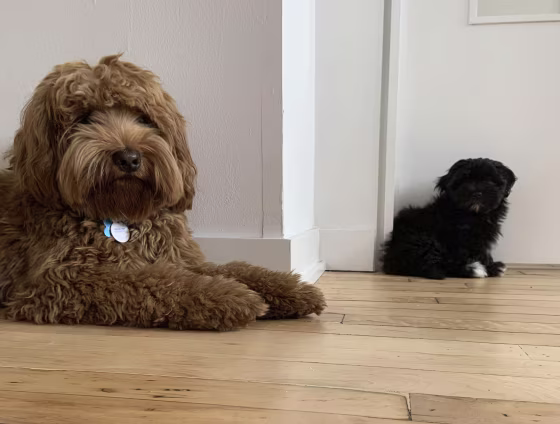 Image: Leo and Sally