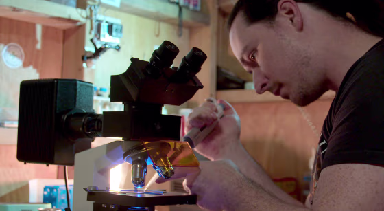 "Unnatural Selection" on Netflix.