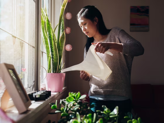 Giving the plants a drink