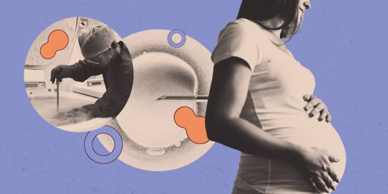 Image: To control their own fates, women first needed to keep from getting pregnant; then they needed to be able to preserve their fertility. The IVF advances of the last decade have done that, given women more agency in work, home and love.