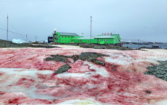 The ice around Ukraine's Vernadsky Research Base, located on Galindez Island, off the coast of Antarctica.