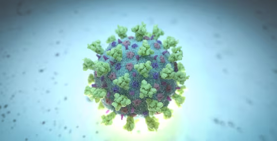 Image: Coronavirus
